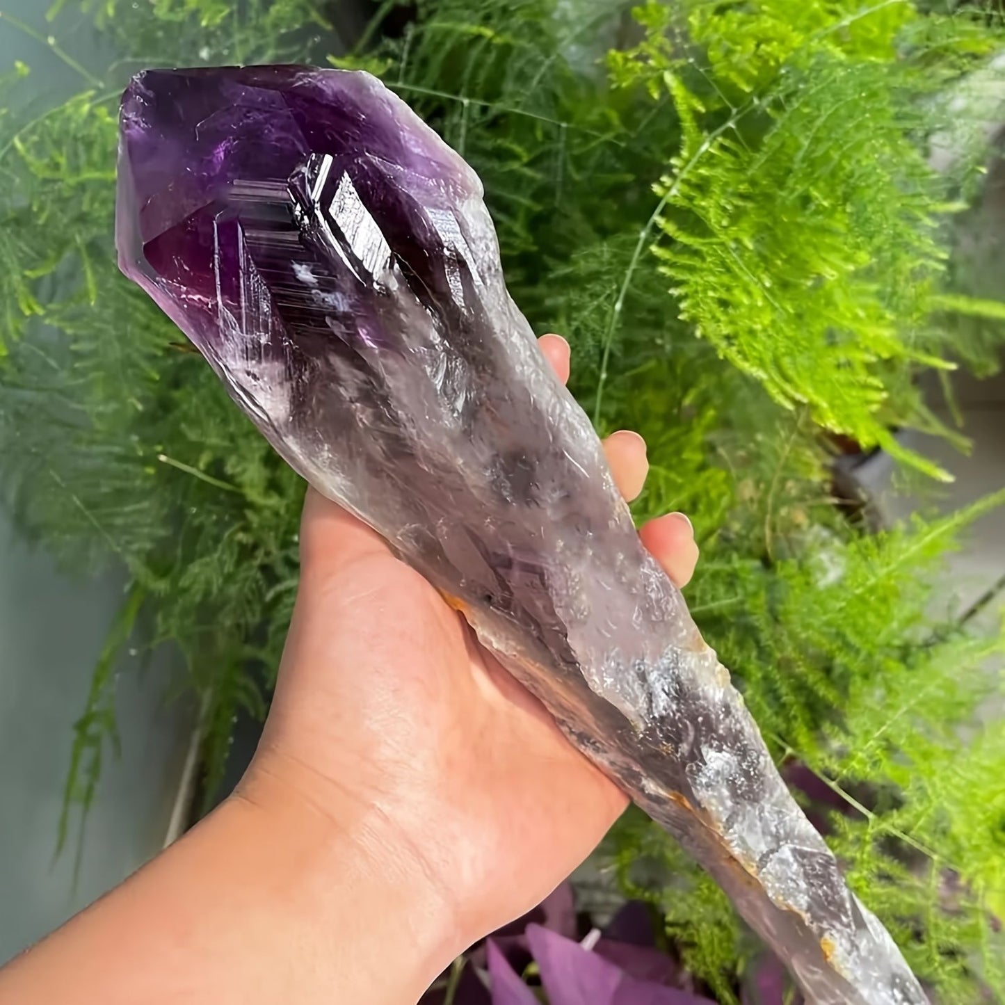 1pc Amethyst Scepter, Large Raw Uncarved Crystal, Stunning Gradient Amethyst Scepter, Perfect Gift For Family And Friends, Christmas, Valentine'S Day, Thanksgiving Day Gift, Perfect Home Decoration