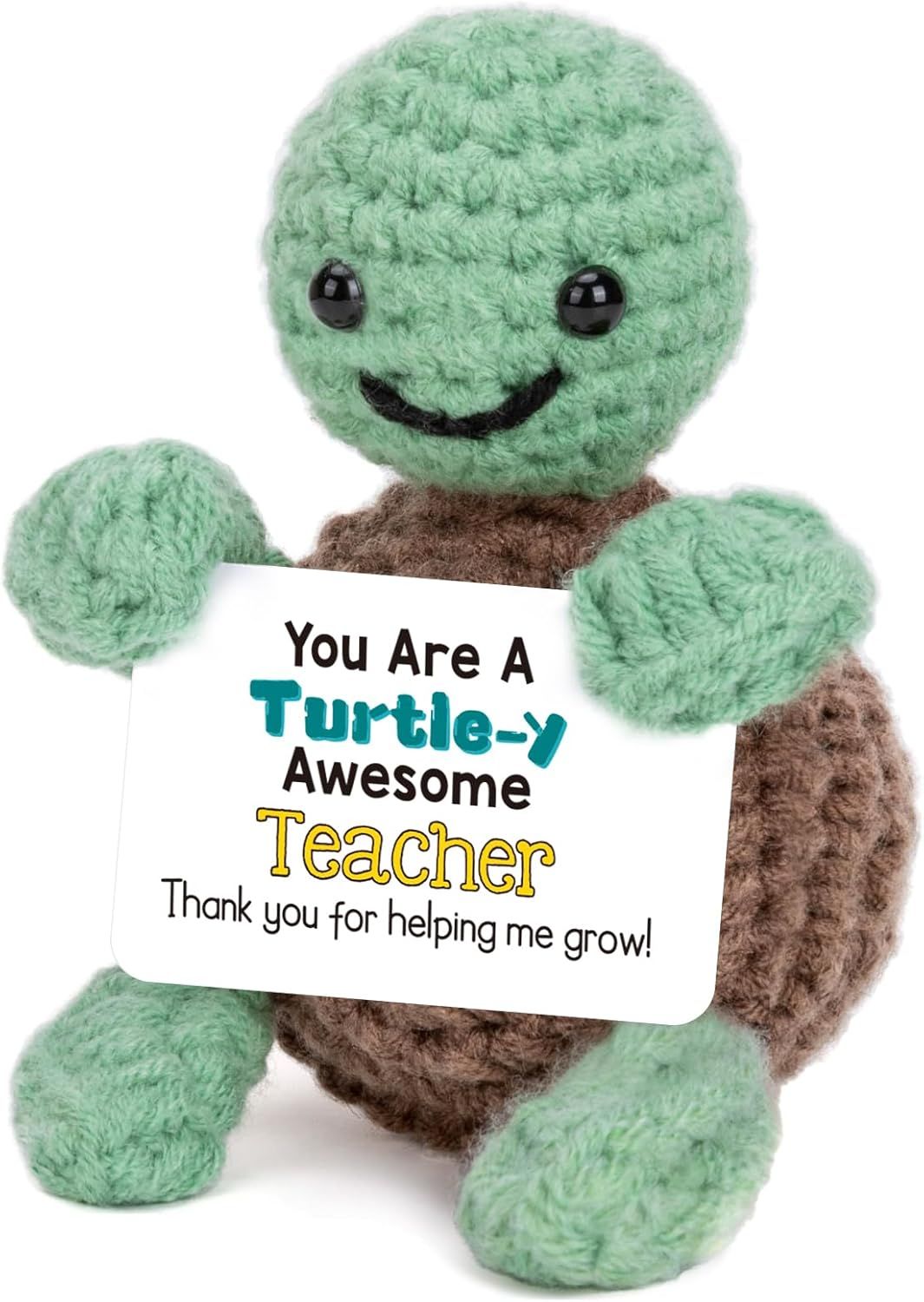 Funny Turtle Christmas Teacher Gifts