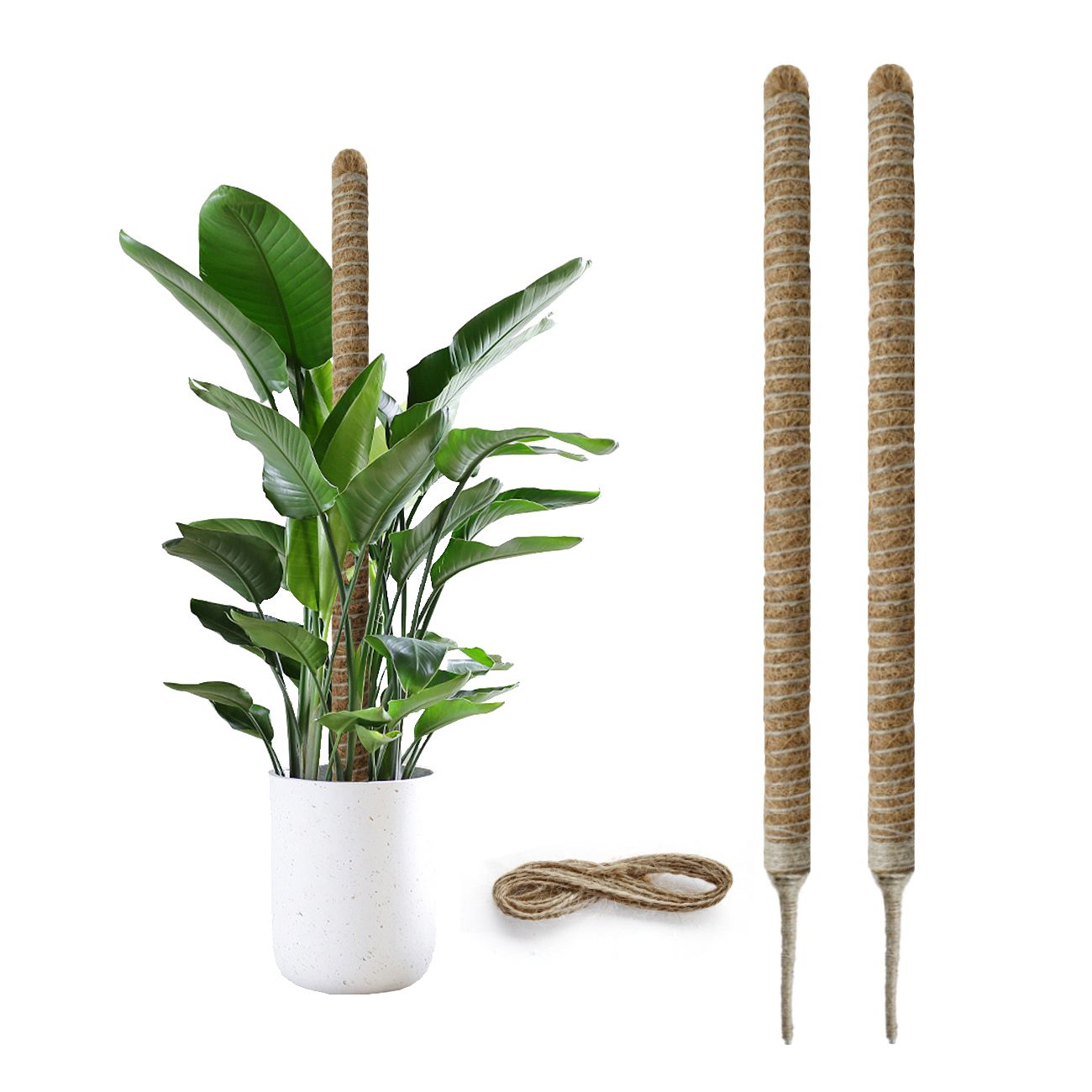 27.6inch Bendable Coconut Coir Stick with Hemp Rope The Ideal Plant Support, Natural and Eco-Friendly, Easily Create a Green Space