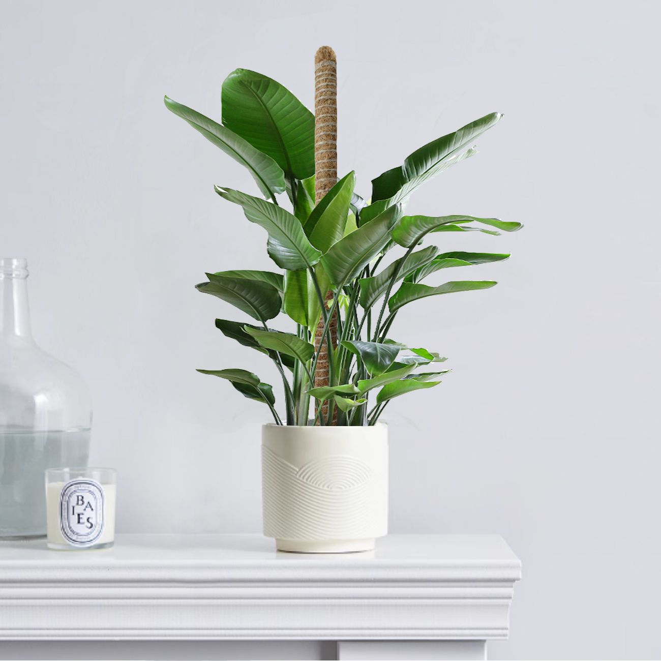 27.6inch Bendable Coconut Coir Stick with Hemp Rope The Ideal Plant Support, Natural and Eco-Friendly, Easily Create a Green Space