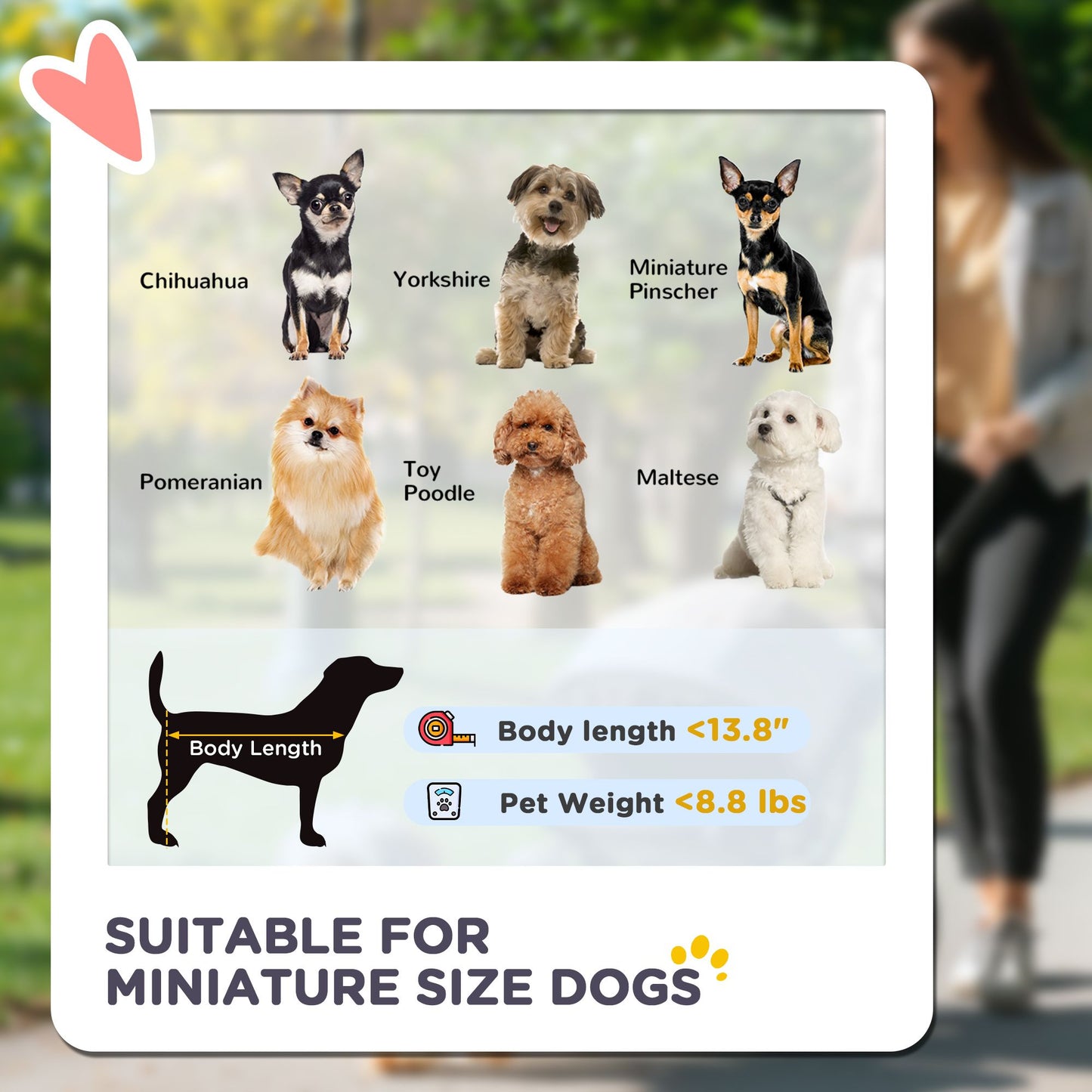 3 in 1 Pet Stroller with Detachable Carrier, Foldable Dog Stroller with Storage Basket, Cupholder, for Mini Dogs, Gray