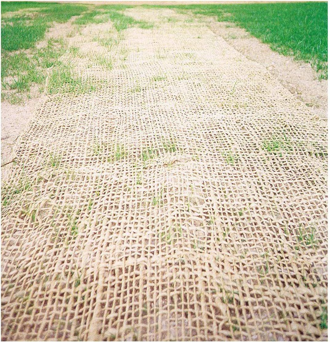 4ft*60ft Coconut fiber slope protection netting an environmentally friendly and durable soil protection and landscaping solution.