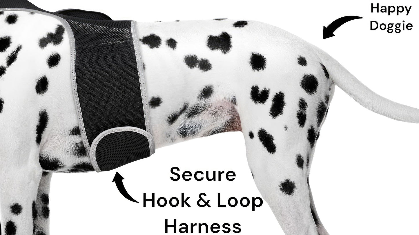 Android Compatible GSM Pet Locator Pet Tracker Cat Dog GPS Tracking System Size:M