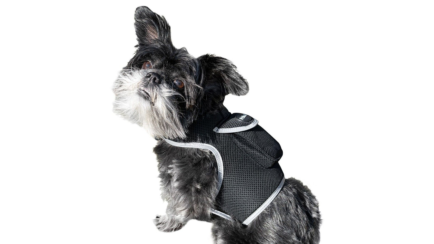 Apps Controlled GSM GPS Pet Tracking System Waterproof Cat Dog Locator Size:M