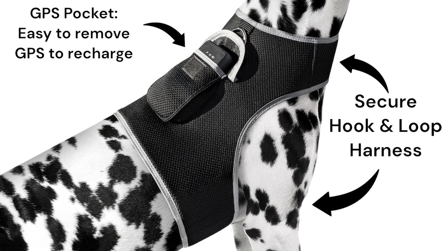 Apps Controlled GSM GPS Pet Tracking System Waterproof Cat Dog Locator Size:M