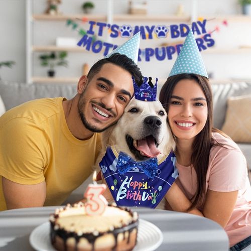 Dog Birthday Party Supplies, Boy Dog Birthday Bandana Set with Cute Dog Bowtie, Scarf, Birthday Banner  Balloons and Hat with Numbers for Medium and Extra Large Dogs Pets(Blue)