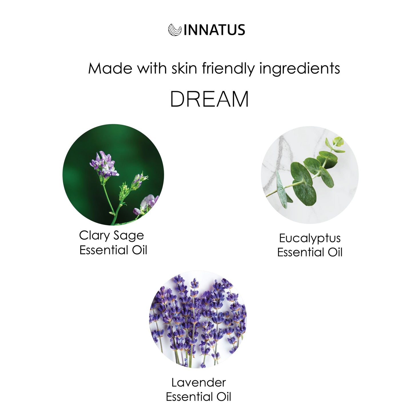 Dream Essential Oil Blend – 1oz Pure Eucalyptus & Lavender Essential Oil for Diffusers, Baths, & Massage – Calming & Stress-Relieving Aromatherapy for Relaxation & Respiratory Health