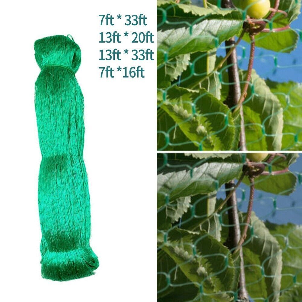 540303941