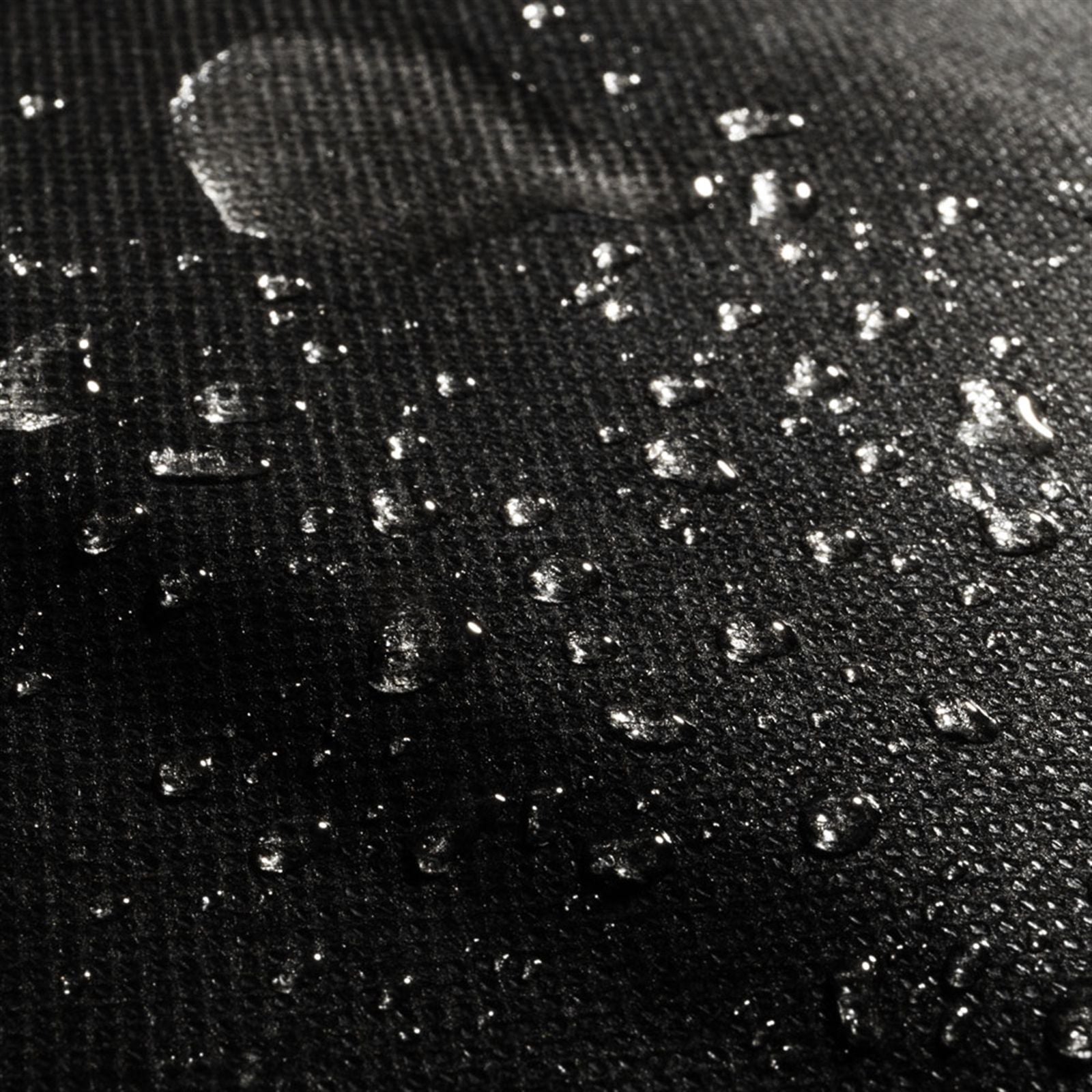 540288281