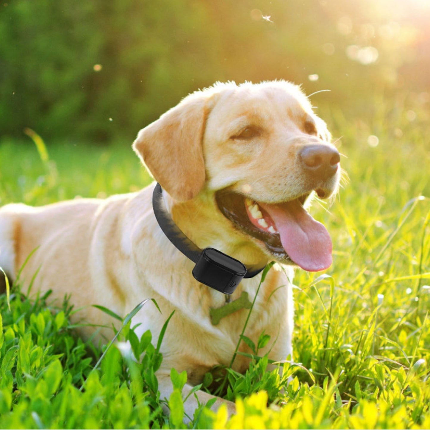 Electric Dog Fence System Pet Tone Shock Boundary Containment Water Resistant Collar Receiver For Small Medium Large Dog