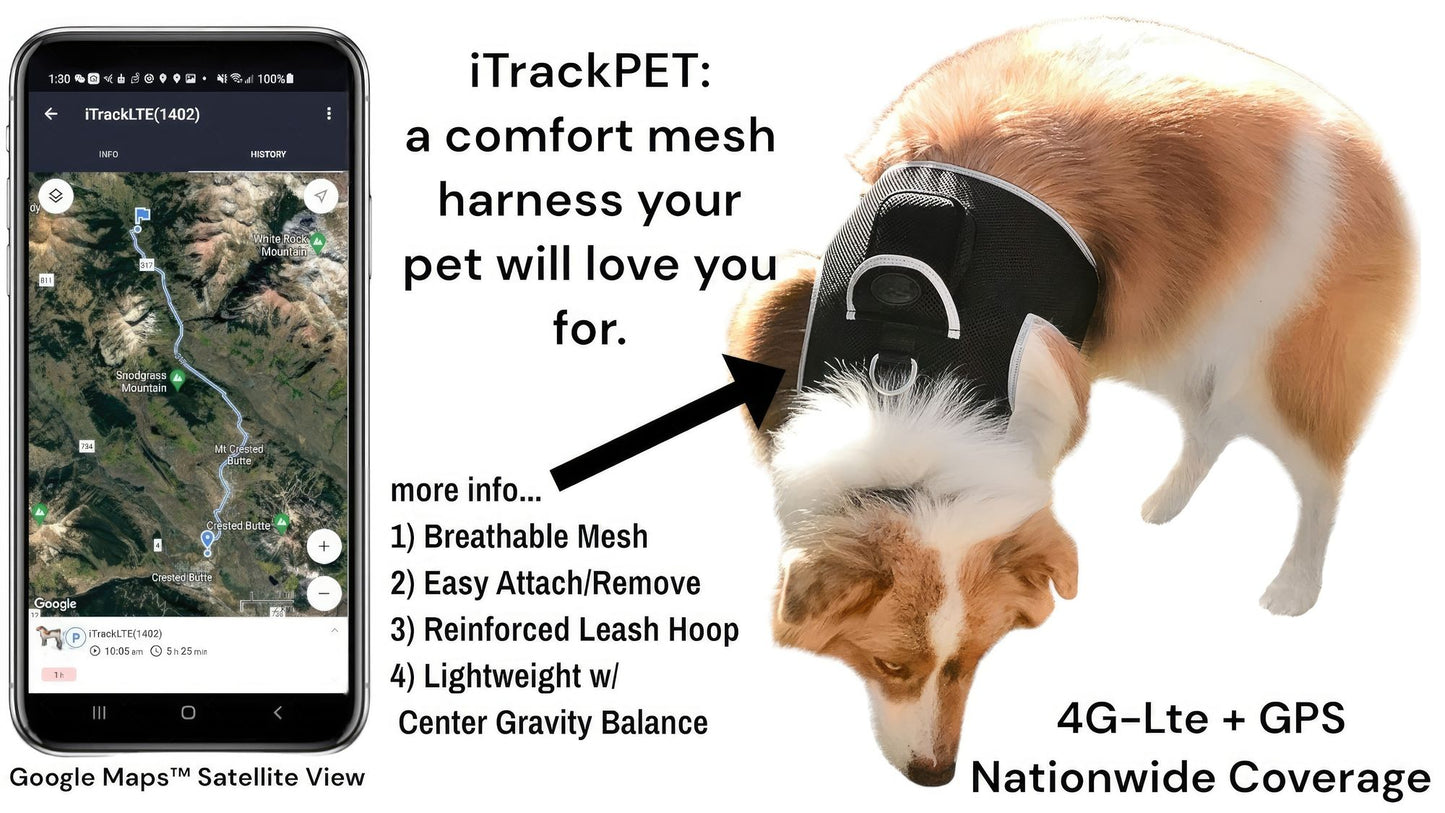 High Quality GSM GPS Cat Dog Tracker Collar Mini Pet Tracking Device Size:M