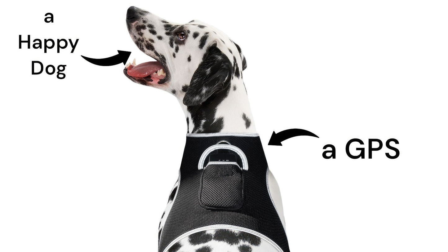 High Quality GSM GPS Cat Dog Tracker Collar Mini Pet Tracking Device Size:M