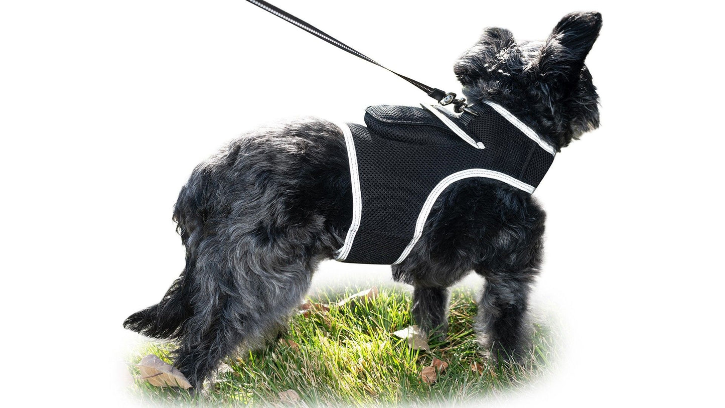 High Quality GSM GPS Cat Dog Tracker Collar Mini Pet Tracking Device Size:M