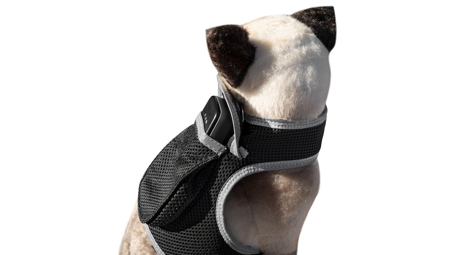 High Quality GSM GPS Cat Dog Tracker Collar Mini Pet Tracking Device Size:M