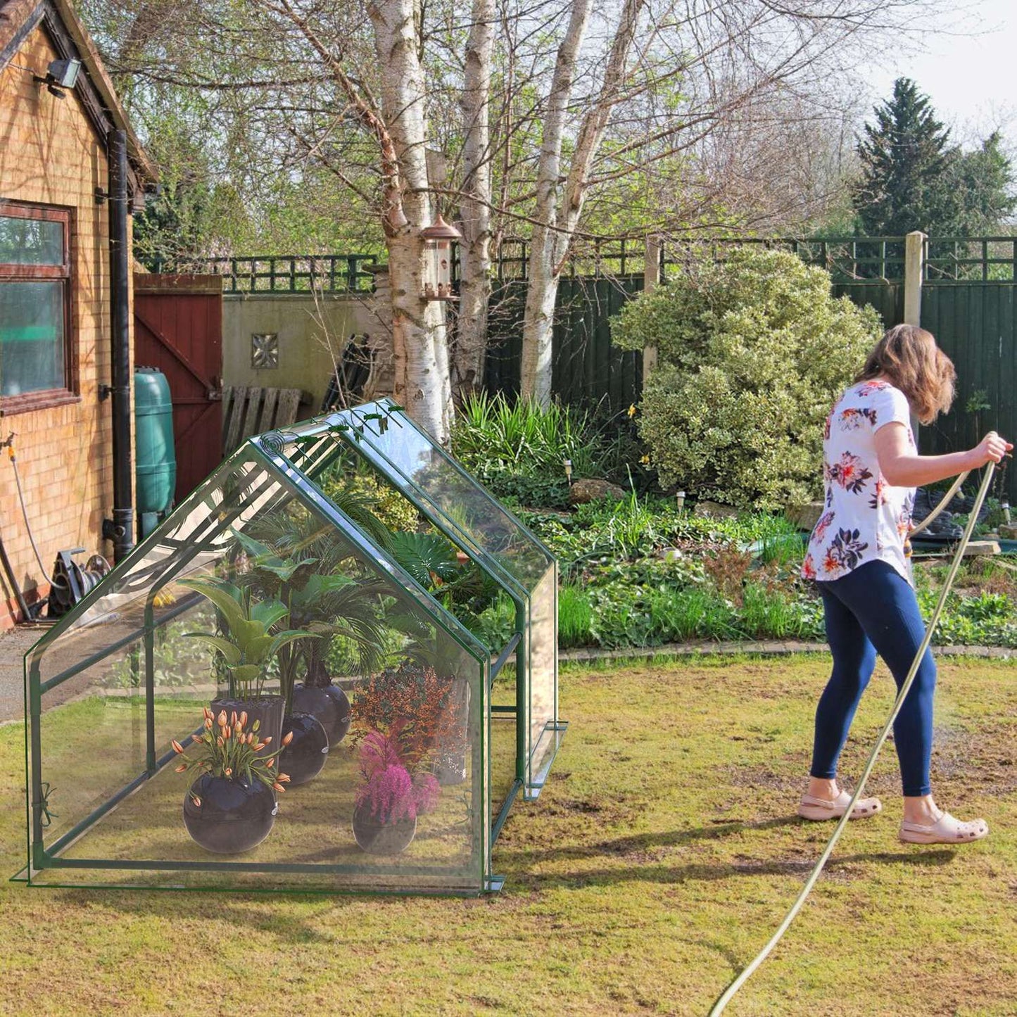 Portable Greenhouse 71" x 33" x 37" – Walk-in Outdoor Garden Plant House w/ Roll-Up Zipper Door, Clear PVC Cover & Thickened Iron Frame | Easy Assembly, UV/Tear/Rust-Proof | Balcony/Patio/Gift