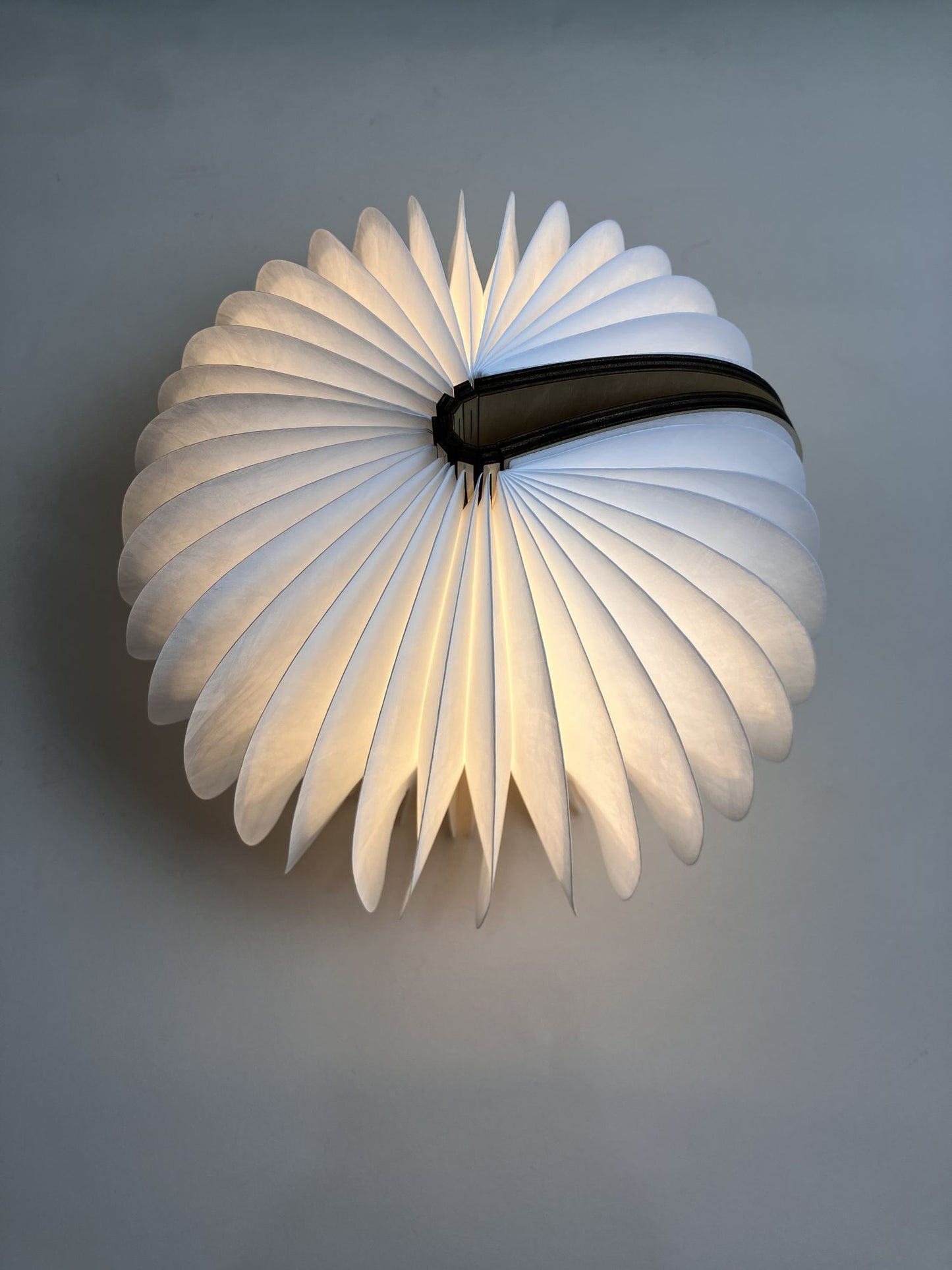 Valentines Day gift, Mushroom night light gift for her